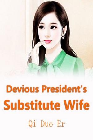 President's Substitute Wife