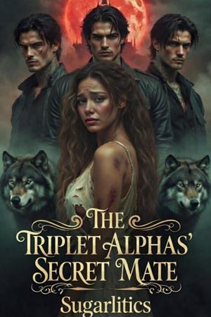  The Triplet Alphas' Secret Mate